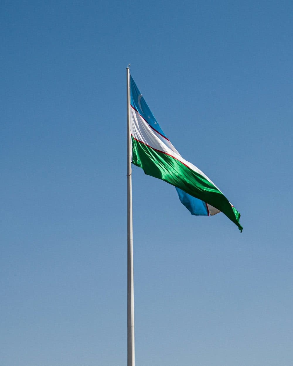 Mctoshshi Grandstand Flag