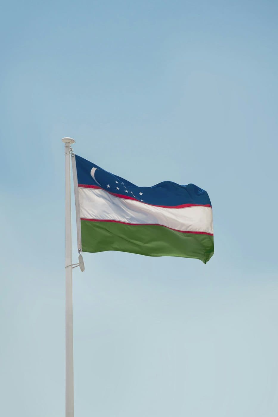 Mctoshshi Grandstand Flag · 2